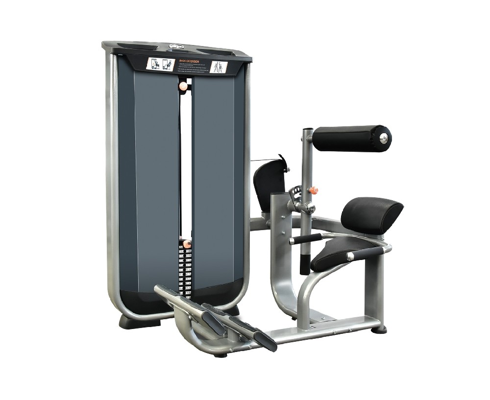 坐式背肌训练器